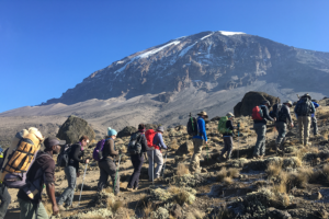 Things To Know Before Climbing Kilimanjaro - Cosy Regency